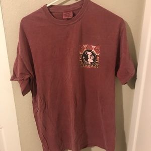 FSU Comfort colors